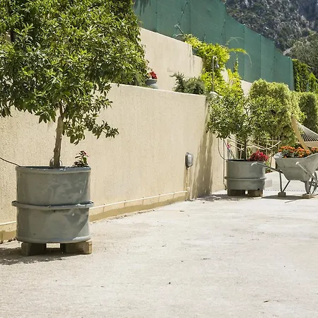 Sandy & Sofia Katelios